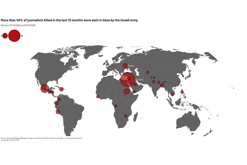grafico_giornalisti4